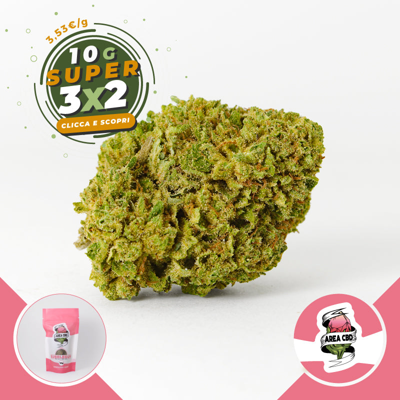 Bubblegum - Area CBD – WeeDiamo Cannabis Delivery